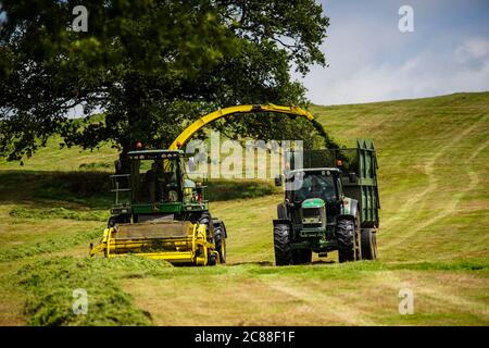 Agriculteur collectant de l'herbe pour le silo, Somerset, Angleterre, Royaume-Uni. Banque D'Images