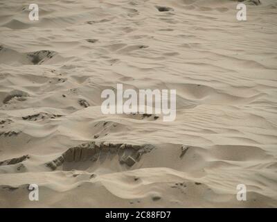 Sable sur la plage de Katwijk. Mise au point sélective sur le premier plan Banque D'Images