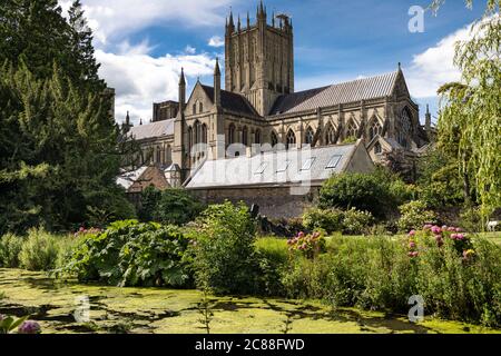 Vue sur la cathédrale de Wells, de l'autre côté de la rivière, depuis le jardin de l'évêque Banque D'Images