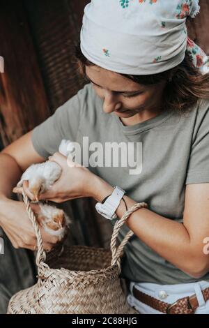 Une hôtesse féminine s'occupe des poulets jaunes nouvellement nés dans sa cour. Petite ferme et parc animalier Banque D'Images