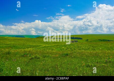 Vue aérienne d'un magnifique paysage d'été de Meadow Mountain sur les pentes vertes d'Elbrus dans la région du Caucase du Nord d'Elbrus. Ciel bleu avec nuages blancs. Banque D'Images