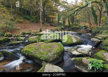 Wildwasserbach in engem Tal mit Granitblöcken, Fluss Gouet - chaos du Gouet, in der Nähe von Saint Brieuc, Bretagne. Banque D'Images