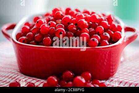 Raisins de Corinthe rouges frais dans un bol rouge sur une table rouge dans la cuisine. Fond naturel: Baies de cassis Banque D'Images