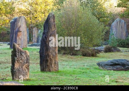 Pierres debout (Menhir) de Monteneuf près de la forêt de Broceliande, Bretagne, France Banque D'Images