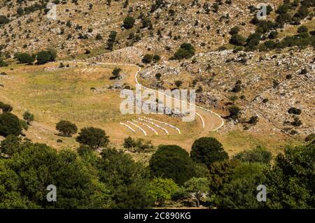 Longue ligne de ruches en bois colorées parmi les arbres des montagnes de Crète Banque D'Images