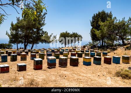 Ruches en bois colorées parmi les arbres faisant face à la mer dans les montagnes de Crète Banque D'Images