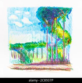 des arbres verts le long de la route le jour ensoleillé de l'été dessiné à la main par des crayons de couleur sur papier blanc Banque D'Images