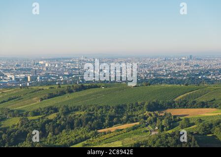 Vue panoramique sur la ville de Vienne et les vignes et les collines de la forêt de Vienne depuis Leopoldsberg le matin. Banque D'Images