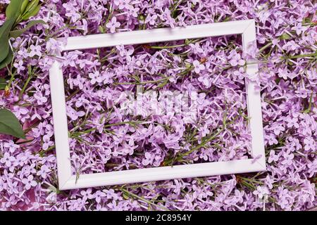 cadre photo sur fleurs lilas, fond floral ou concept Banque D'Images