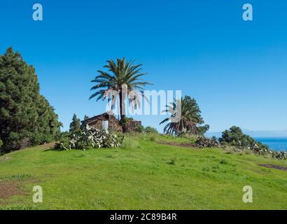 Ancienne maison en pierre ruinée sur un luxuriant pré vert avec palmiers et pins et poire pirickly opuntia cactus, ciel bleu et fond de mer. Magnifique paysage Banque D'Images