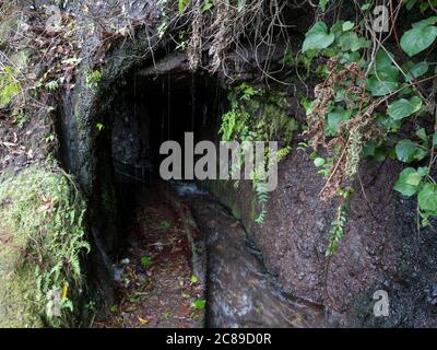 Entrée sombre au tunnel du canal d'eau levada sur le sentier de randonnée Casa del Monte à Los Tilos dans la mystérieuse forêt de Laurier. Magnifique réserve naturelle Banque D'Images