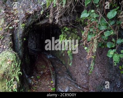 Entrée sombre au tunnel du canal d'eau levada sur le sentier de randonnée Casa del Monte à Los Tilos dans la mystérieuse forêt de Laurier. Magnifique réserve naturelle Banque D'Images