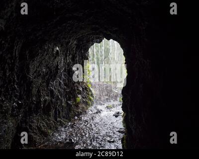 Vue depuis le tunnel de canal d'eau sombre à travers l'eau courante jusqu'à la jungle luxuriante sur le sentier de randonnée Los Tilos dans la mystérieuse forêt de Laurier. Magnifique réserve naturelle Banque D'Images