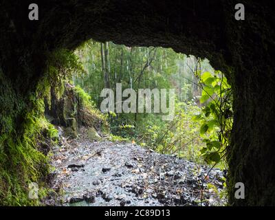 Vue depuis le tunnel de canal d'eau sombre à travers l'eau courante jusqu'à la jungle luxuriante sur le sentier de randonnée Los Tilos dans la mystérieuse forêt de Laurier. Magnifique réserve naturelle Banque D'Images