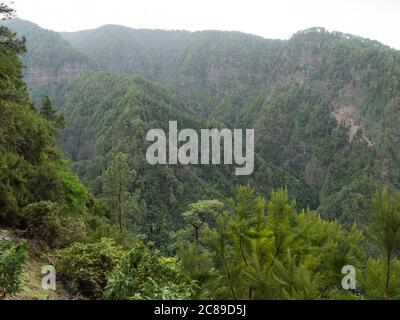 Vue depuis le tunnel de canal d'eau sombre à travers l'eau courante jusqu'à la jungle luxuriante sur le sentier de randonnée Los Tilos dans la mystérieuse forêt de Laurier. Magnifique réserve naturelle Banque D'Images