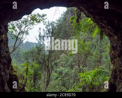 Vue depuis le tunnel de canal d'eau sombre à travers l'eau courante jusqu'à la jungle luxuriante sur le sentier de randonnée Los Tilos dans la mystérieuse forêt de Laurier. Magnifique réserve naturelle Banque D'Images