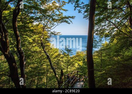 Un beau paysage de verdure au bord de la mer à Mons Klint au Danemark Banque D'Images