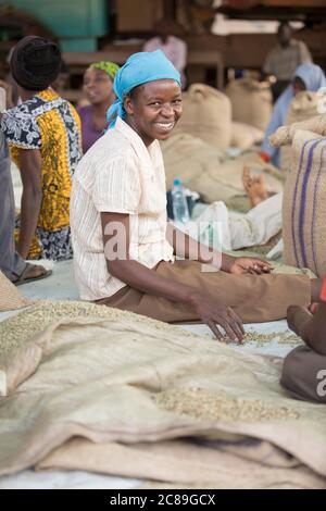 Une femme souriante de qualité professionnelle trie et sac les grains de café séchés à la main dans l'entrepôt coopératif d'un producteur de café à Mbale, en Ouganda, en Afrique de l'est. Banque D'Images
