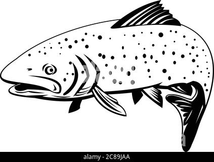 Illustration rétro de style noir et blanc d'une truite arc-en-ciel, d'une truite et d'une espèce de salmonidés indigènes de l'océan Pacifique en Asie et en Amérique du Nord sud-ouest Illustration de Vecteur