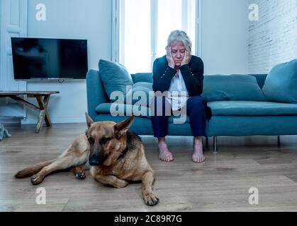 Une vieille femme âgée en dépression pleure sur le canapé avec un chien de compagnie comme compagnon. Veuf triste et fatigué en raison de la pandémie de COVID-19. Mort du coronavirus, verrouillage, Banque D'Images