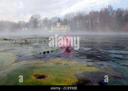 Bain médicinal, Lac Hévíz, Comté de Zala, Hongrie, Magyarország, Europe Banque D'Images