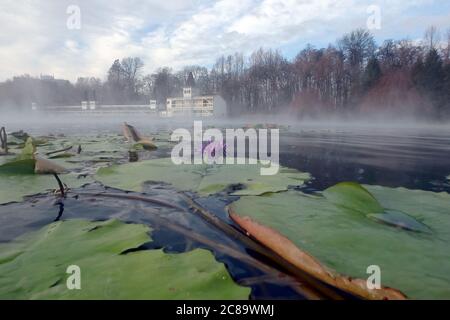 Bain médicinal, Lac Hévíz, Comté de Zala, Hongrie, Magyarország, Europe Banque D'Images