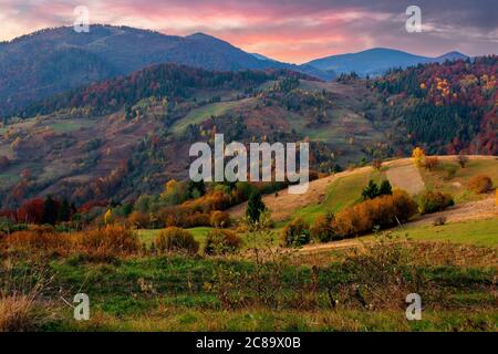 paysage rural automnal au crépuscule. belle campagne en montagne. arbres en automne feuillage sur collines verdoyantes. nuages spectaculaires au-dessus du lointain Banque D'Images