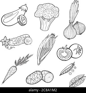 Collection de légumes - pages de livre de coloriage pour adultes et enfants. Ensemble d'art noir et blanc vectoriel dessiné à la main pour textile, imprimé, poster, dessin au sort Illustration de Vecteur