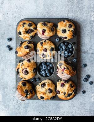 Vue en hauteur des muffins aux myrtilles dans un moule à pâtisserie sur un comptoir en béton. Banque D'Images