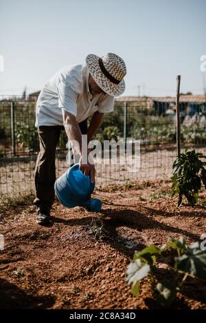 Séance photo d'un fermier cultivant de la nourriture biologique dans son jardin. Banque D'Images