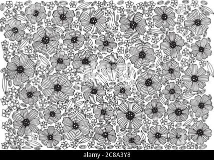 Motif floral - page de coloriage avec des fleurs mexicaines de Mortonia utahensis et de Cosmos atosanineus. Illustration vectorielle Doodle graphique dessinée à la main Illustration de Vecteur
