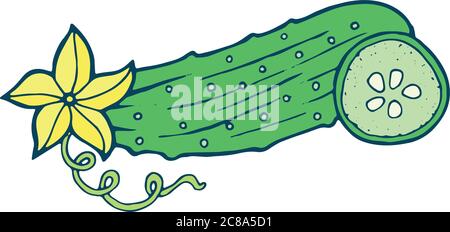 Illustration de la page de coloration du concombre dessinée à la main pour adultes et enfants Illustration de Vecteur