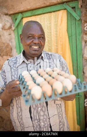 Un petit agriculteur mâle tient un plateau d'œufs dans sa ferme de poulet du comté de Makueni, au Kenya, en Afrique de l'est. Banque D'Images