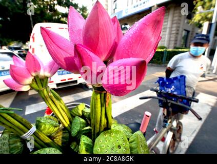 Pékin, Chine. 22 juillet 2020. Un vendeur chinois vend des fleurs de lotus en fleur dans une rue du centre-ville de Beijing le mercredi 22 juillet 2020. Selon les autorités sanitaires gouvernementales, la Chine a éliminé les infections et la propagation de Covid-19, même si les États-Unis continuent d'être l'épicentre des infections et des décès par coronavirus. Photo de Stephen Shaver/UPI crédit: UPI/Alay Live News Banque D'Images