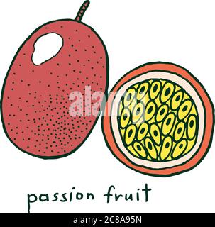Page de coloriage fruit de la passion. Motif vectoriel coloré pour les albums de coloriage pour adultes Illustration de Vecteur