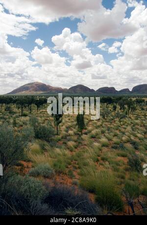 Vue longue distance de Kata Tjuta (les Olgas) dans le parc national d'Uluru - Kata Tjuta, territoire du Nord, Australie, Australasie Banque D'Images