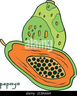 Page de coloriage de fruits papaye. Motif vectoriel coloré pour les albums de coloriage pour adultes. Illustration de Vecteur