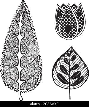 Collection de fleurs et de feuilles exotiques tropicales - page de coloriage Illustration de Vecteur