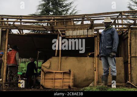 Nakuru, Kenya. 18 juillet 2020. Un homme se trouve à côté d'une structure partiellement démolie.le gouvernement du Kenya expulse avec force les gens qui se seraient installés sur des terres forestières gazées pour ouvrir la voie au reboisement. Des plaintes généralisées ont été déposées sur la façon dont le gouvernement traite la question. Les organisations de droits de l'homme ont dénoncé la force brute exercée sur les personnes qui résidaient prétendument sur les terres forestières, essentiellement des pauvres, terrant l'exercice injuste et illégal. Crédit : James Wakibia/SOPA Images/ZUMA Wire/Alay Live News Banque D'Images