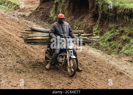 Nakuru, Kenya. 18 juillet 2020. Un homme ferryt des poteaux en bois qu'il a récupérés après la démolition de sa maison.le gouvernement du Kenya expulse avec force les personnes qui se seraient installées sur des terres forestières gazoussées pour ouvrir la voie au reboisement. Des plaintes généralisées ont été déposées sur la façon dont le gouvernement traite la question. Les organisations de droits de l'homme ont dénoncé la force brute exercée sur les personnes qui résidaient prétendument sur les terres forestières, essentiellement des pauvres, terrant l'exercice injuste et illégal. Crédit : James Wakibia/SOPA Images/ZUMA Wire/Alay Live News Banque D'Images