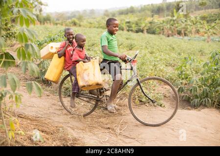 Les enfants utilisent un vélo pour aller chercher et transporter de l'eau dans un village rural du district de Rakai, en Ouganda, en Afrique de l'est. Banque D'Images