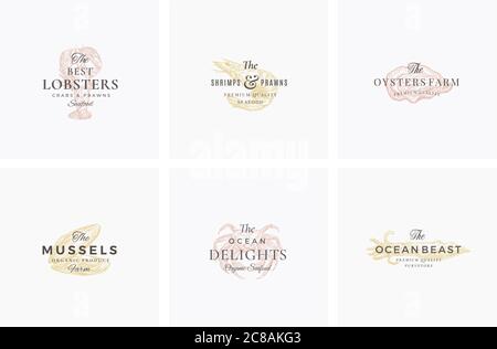 Ensemble de symboles, de symboles ou de modèles de logos vectoriels pour fruits de mer Premium. Élégantes esquisses de crevettes dessinées à la main, de moules, d'huîtres, de crabe et de calmar avec classe Illustration de Vecteur