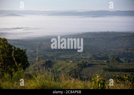 Le brouillard enveloppe une vallée sous les collines ondulantes et les communautés du district de Lyantonde, en Ouganda, en Afrique de l'est. Banque D'Images