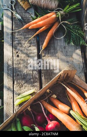 Légumes frais biologiques dans une boîte en bois. Concept pour les aliments crus biologiques Banque D'Images