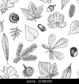 L'automne laisse un motif sans couture. Imprimé feuilles, glands, cônes pour textile. Fonds d'écran, papier cadeau ou texture vectorielle album. Gravé f Illustration de Vecteur