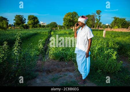 Agriculteur indien parlant au téléphone en se tenant dans le domaine vert, l'agriculture et le concept de technologie, 5g réseau Banque D'Images