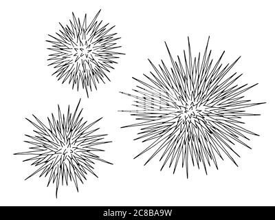 Mer oursins echinus ensemble graphique noir blanc isolé illustration vecteur Illustration de Vecteur