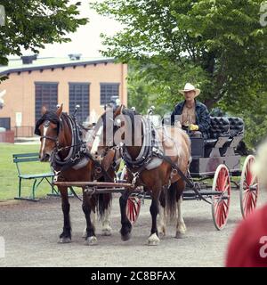 Un autocar tiré par des chevaux dans les rues du village historique du parc Heritage à Calgary. Banque D'Images