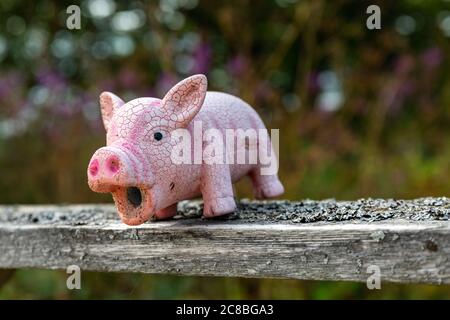 Jouet raclé de porcelet rose sur une rampe abîmé Banque D'Images