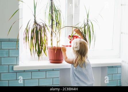 Drôle de petite fille arrosoir plante maison à la fenêtre dans la maison intérieure lumineuse Banque D'Images